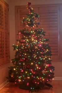 Our first Christmas the first house we own together